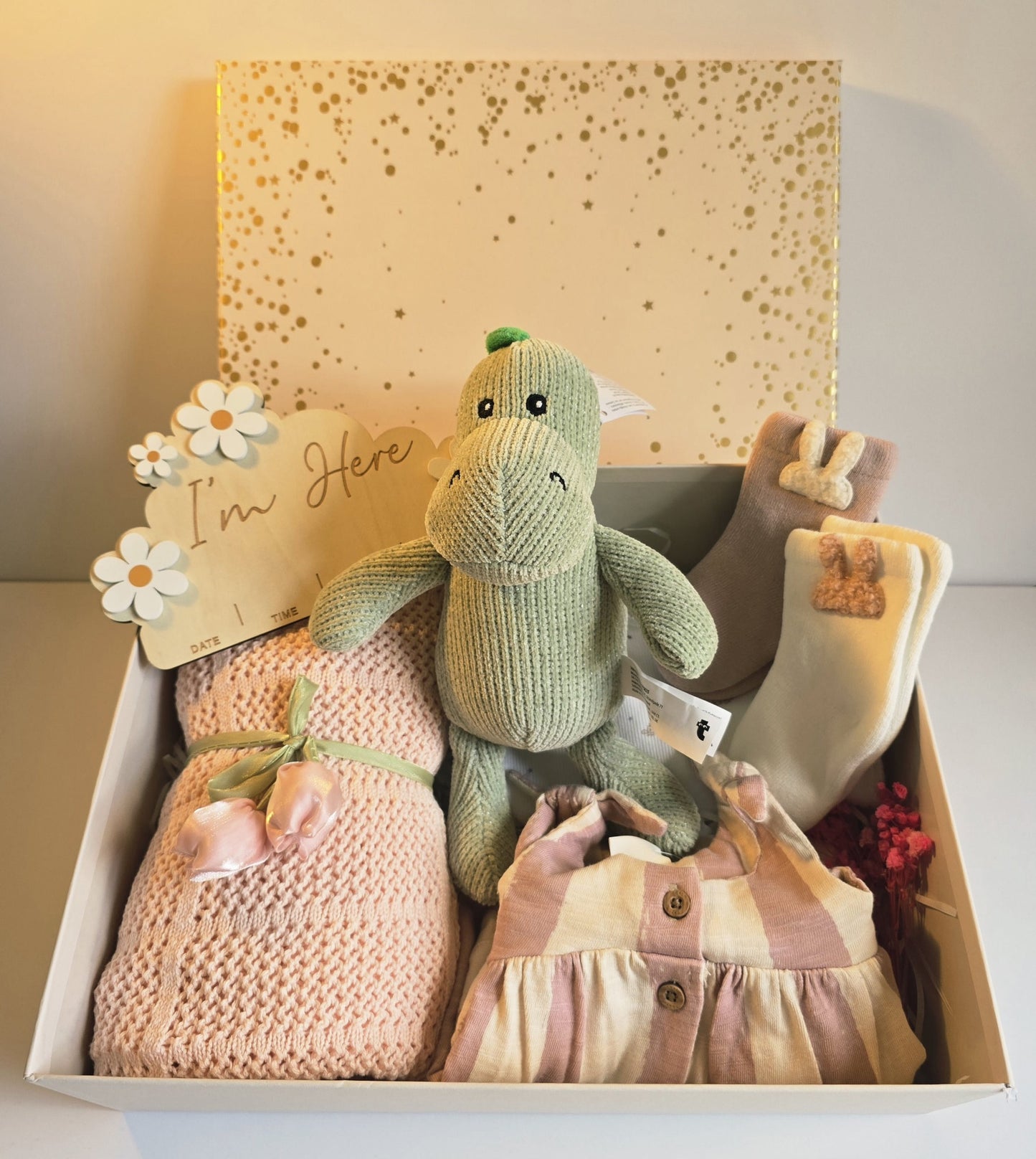 Dino Dreams Baby Girl Hamper